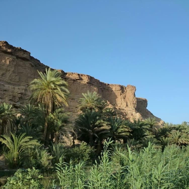 Amoudou Lodge Camp Tissint Exterior photo